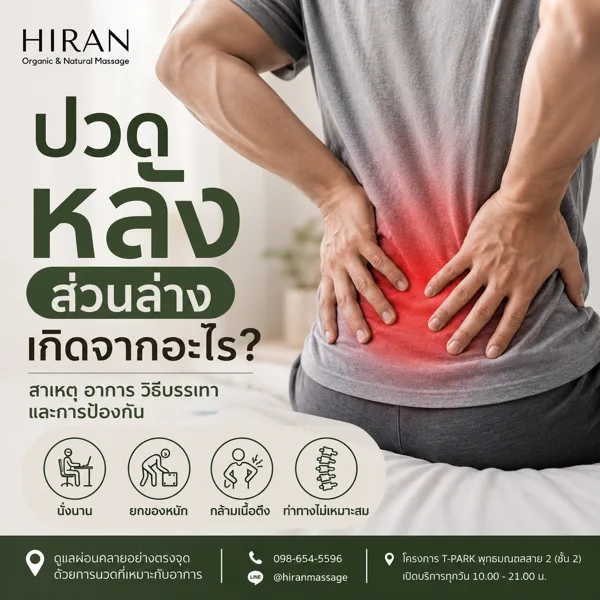 ปวดหลังส่วนล่าง เกิดจากอะไร? สาเหตุ วิธีบรรเทา เมื่อไหร่ควรพบแพทย์