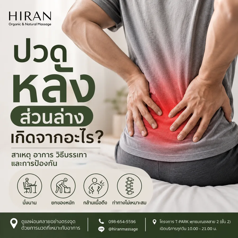 ปวดหลังส่วนล่าง เกิดจากอะไร? สาเหตุ วิธีบรรเทา เมื่อไหร่ควรพบแพทย์